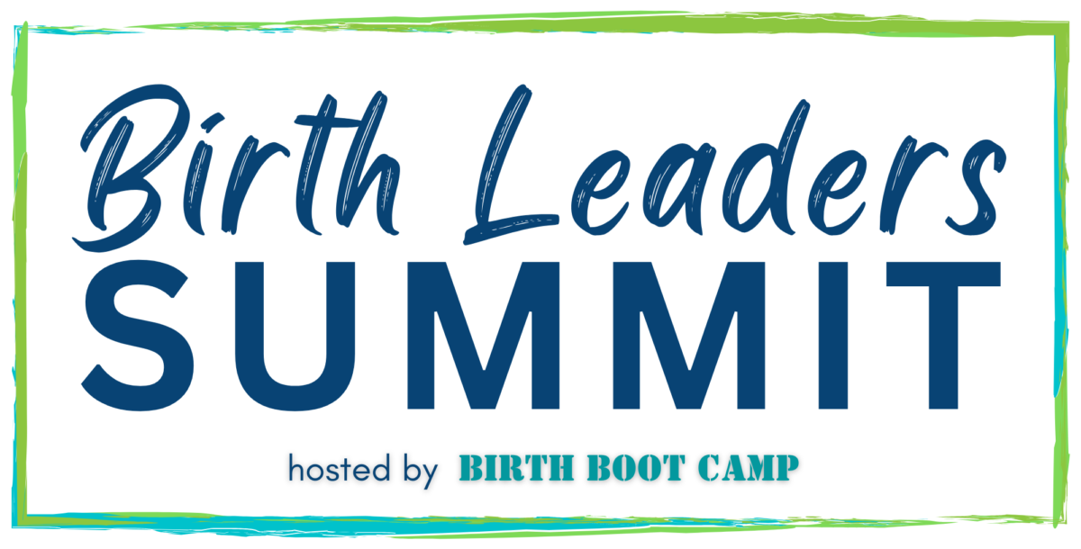 Birth Leaders Summit Logo